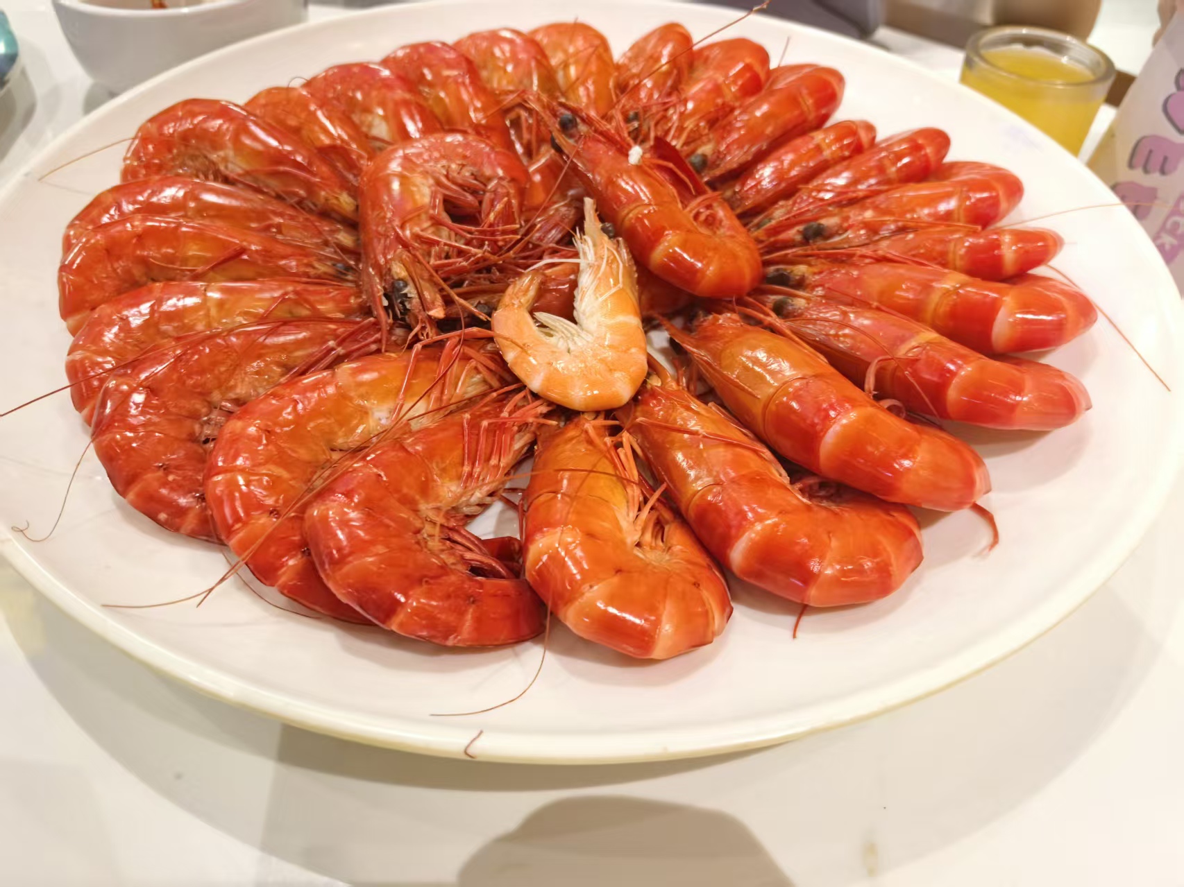 赶海收获
