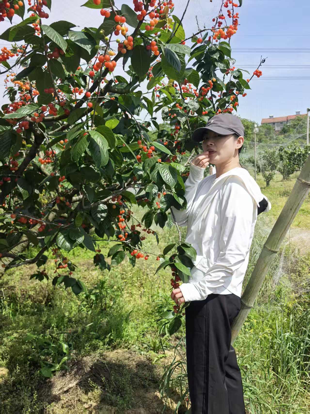 聊天截图5