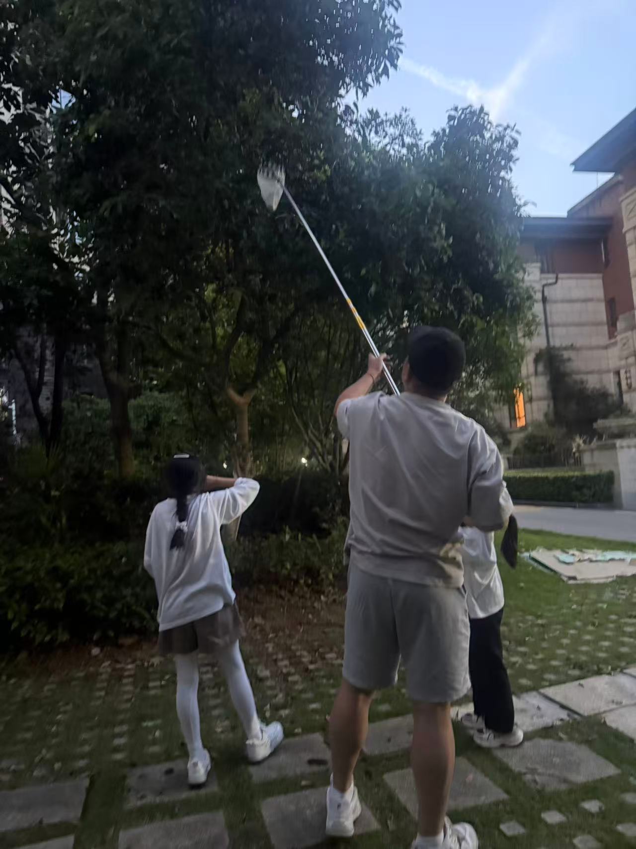 收获满满的杨梅