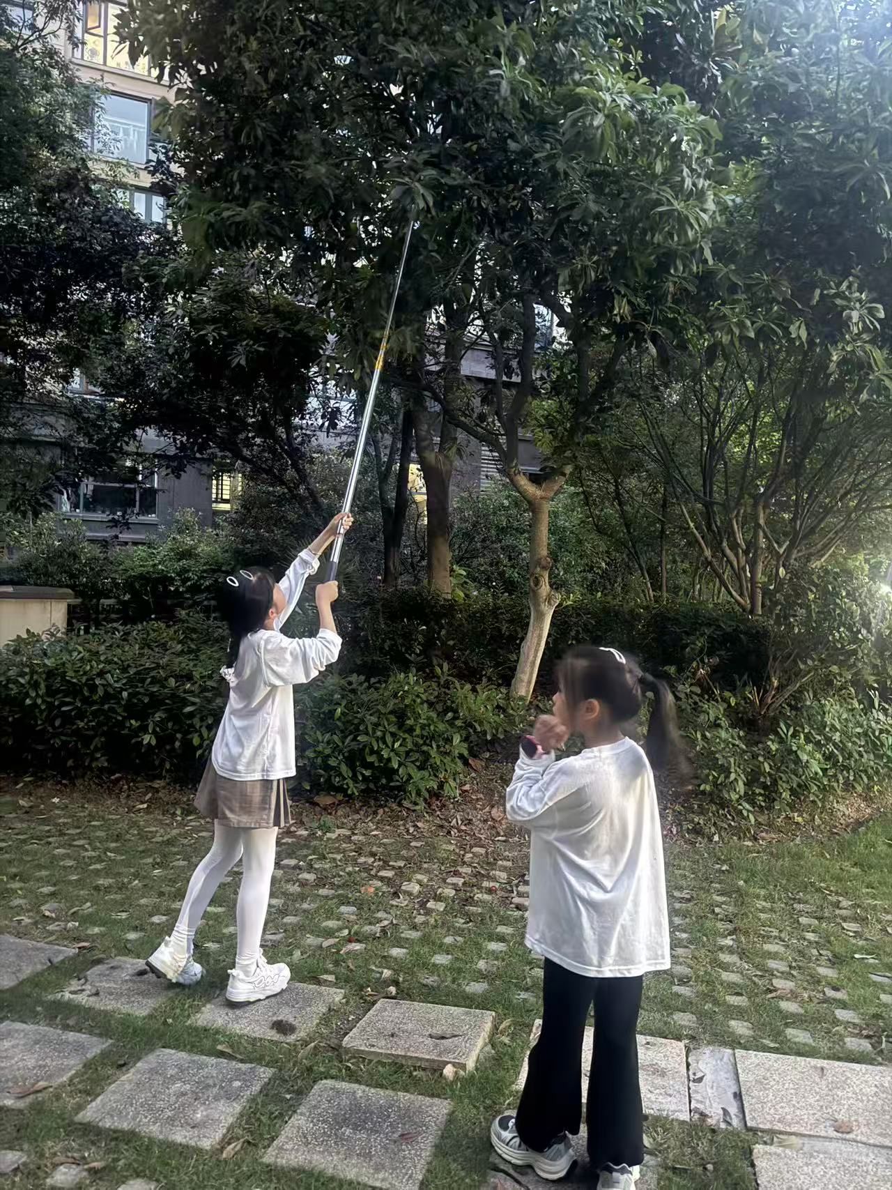 青儿和开心摘杨梅
