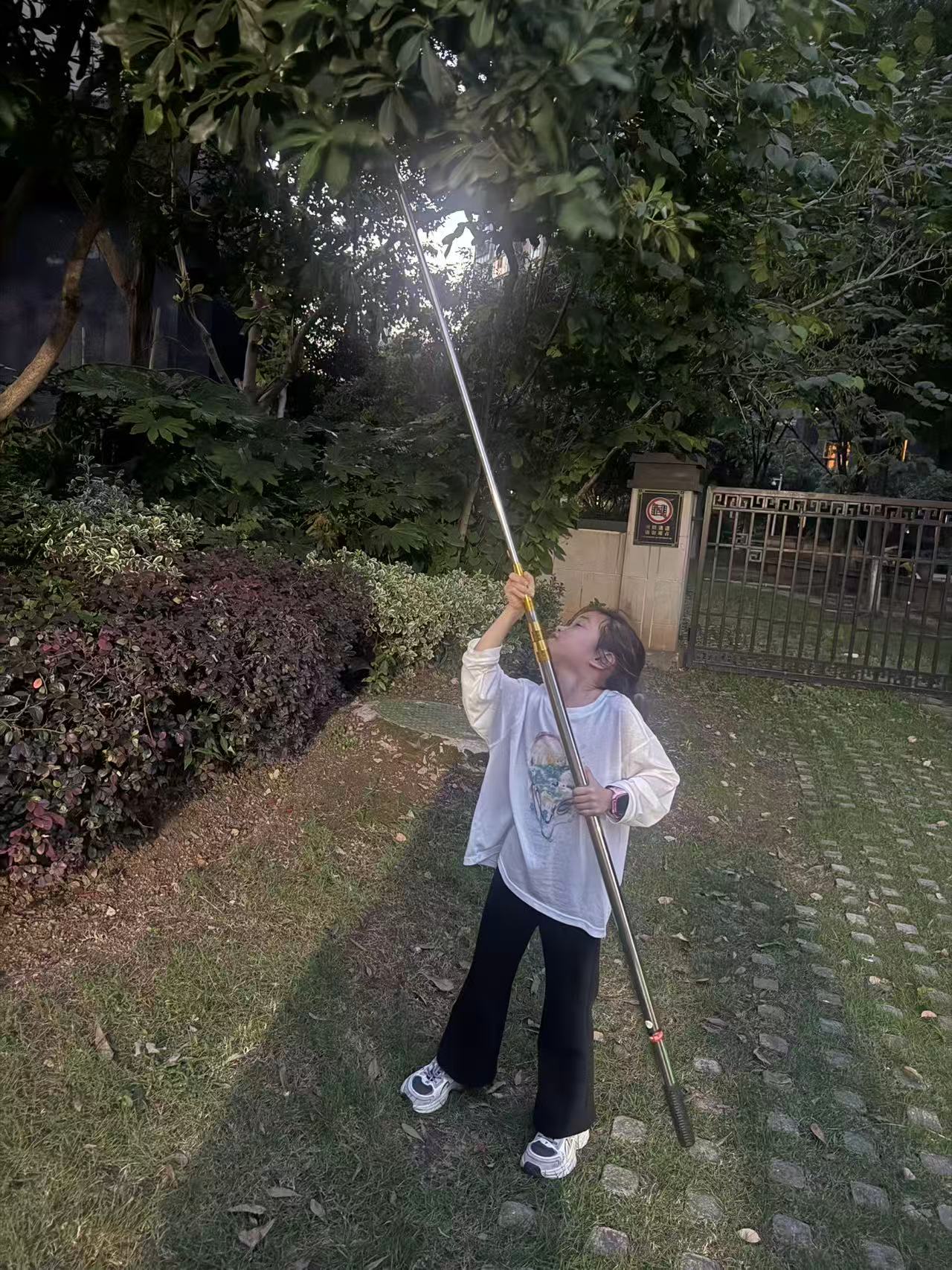 摘杨梅记 🍒