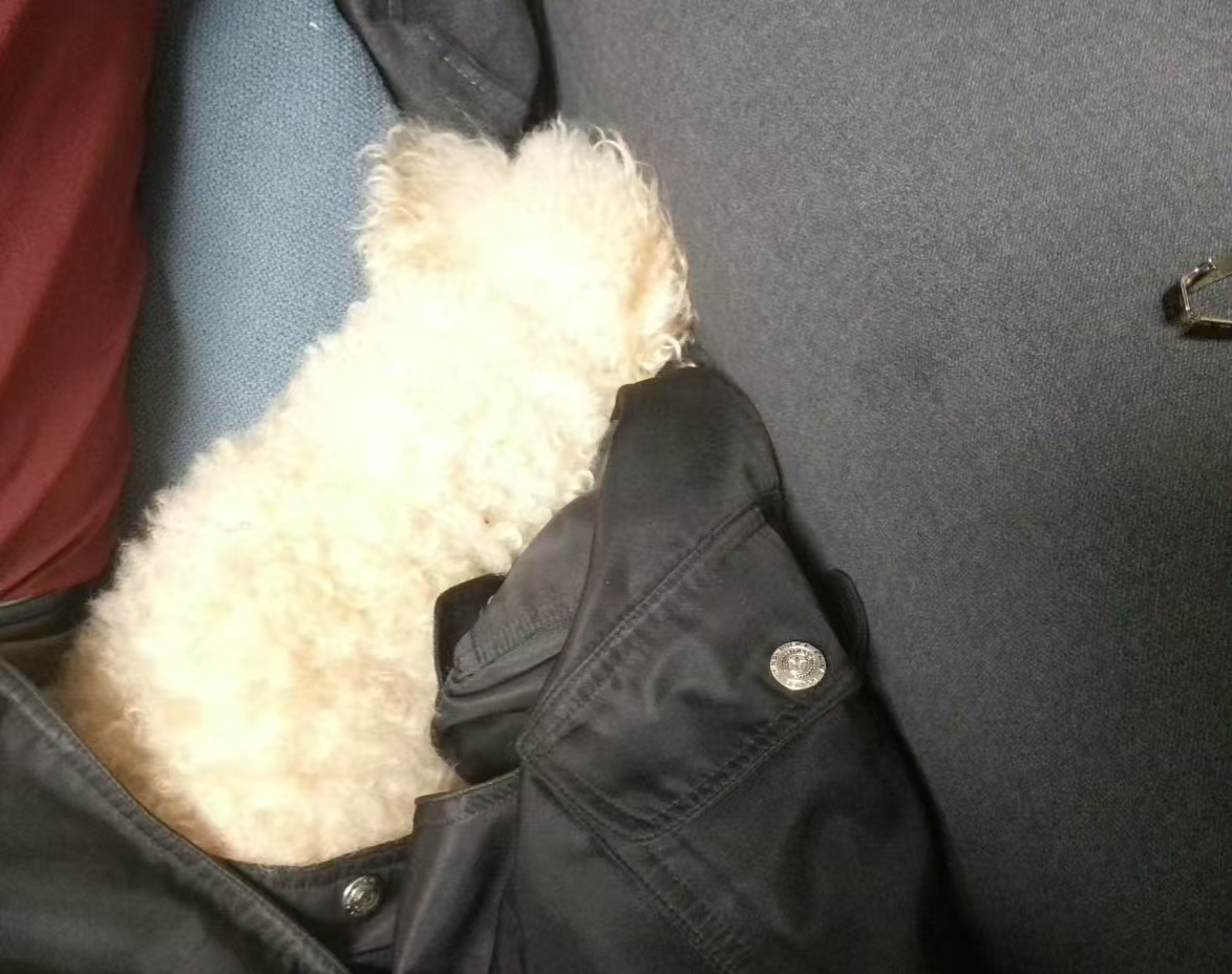 开心的第一次发文